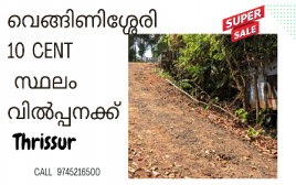 10 Cent Plot For Sale at Venginissery,Palakkal,Thrissur 